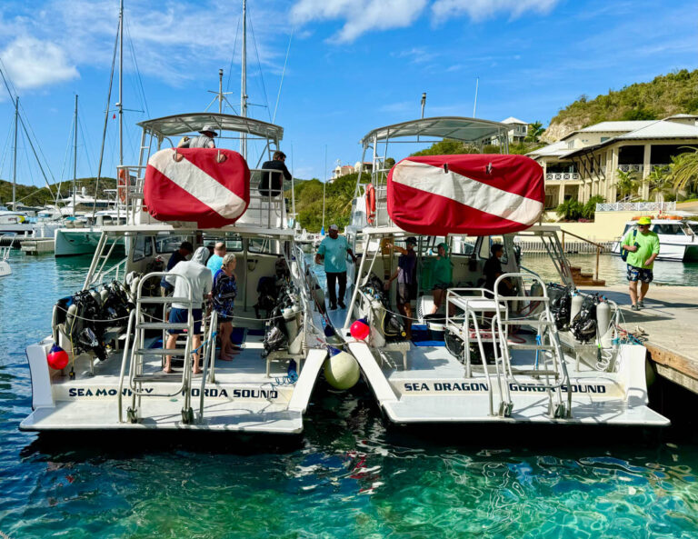 BVI Anniversary