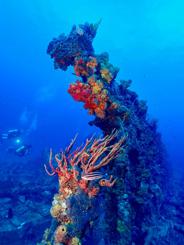 BVI Anniversary