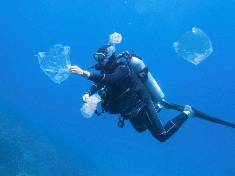 Diver Underwater