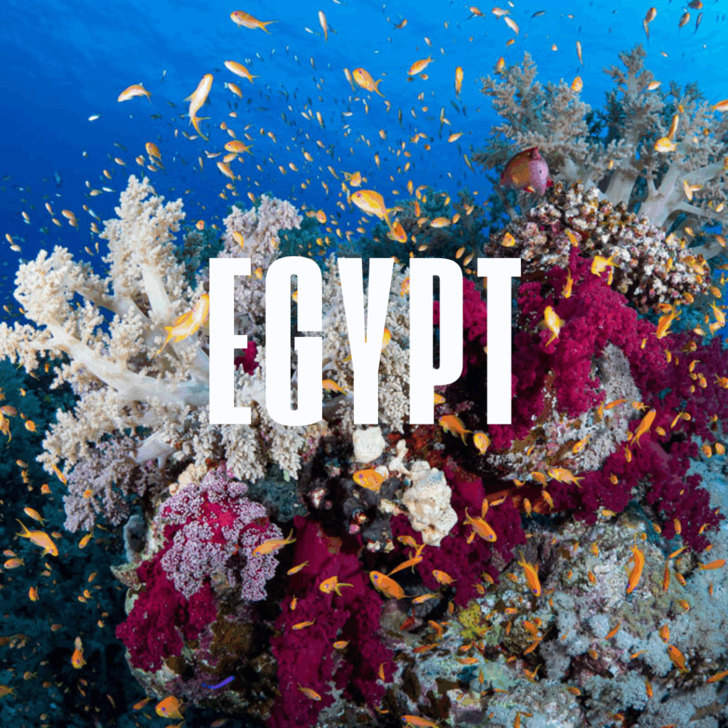 Egypt