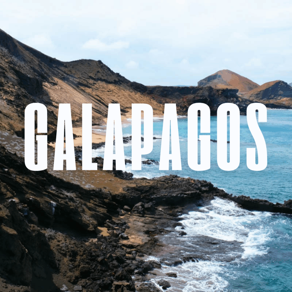 Galapagos