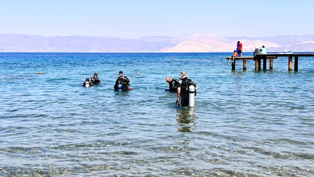 Green Fins, Jordan