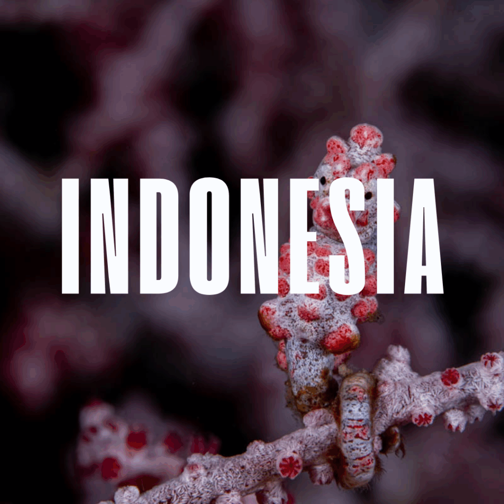 Indonesia