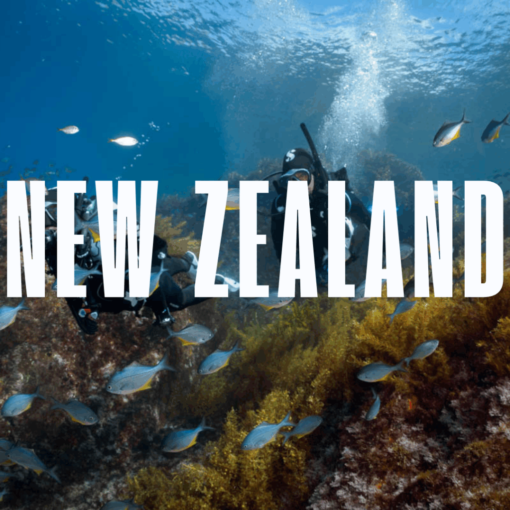 New Zealand