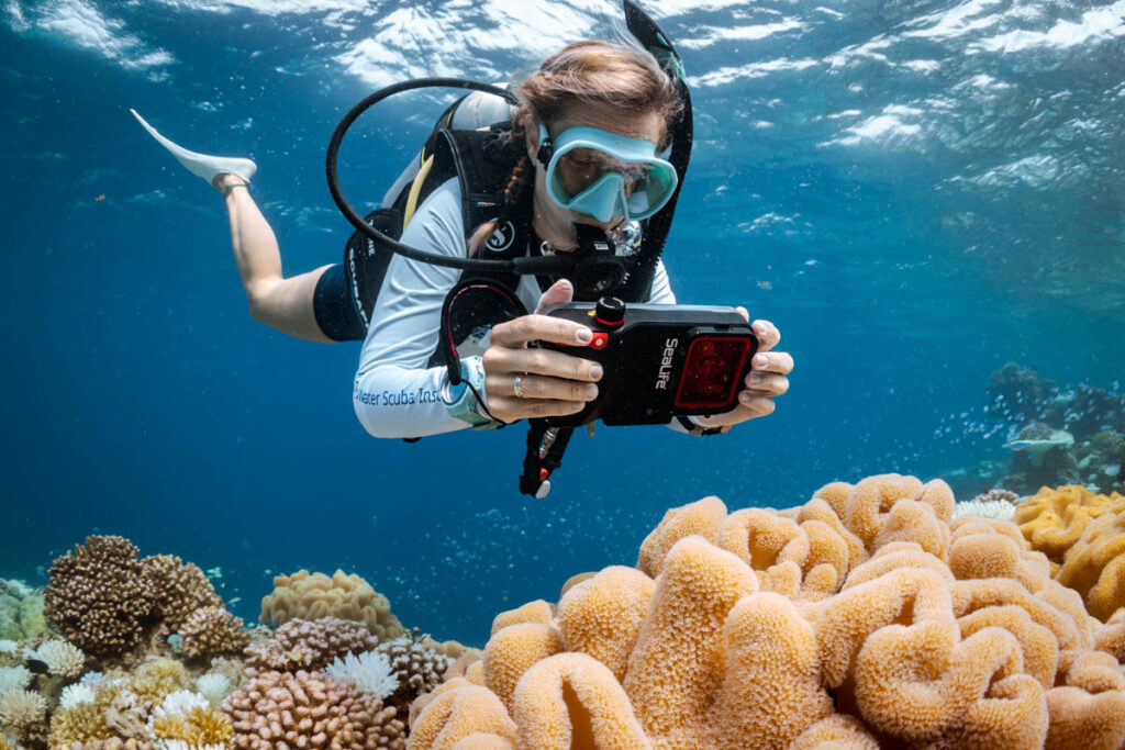Sealife Cameras