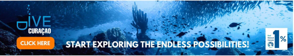 Dive Curacao