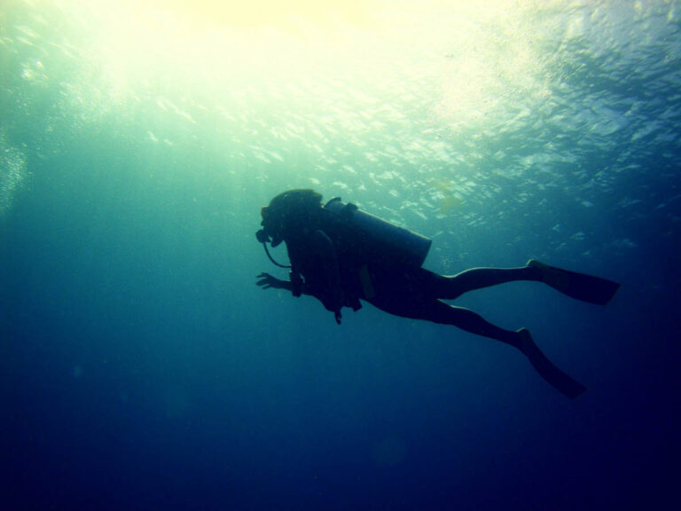 Diver Underwater
