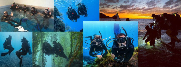 NZ PADI Specialty Courses