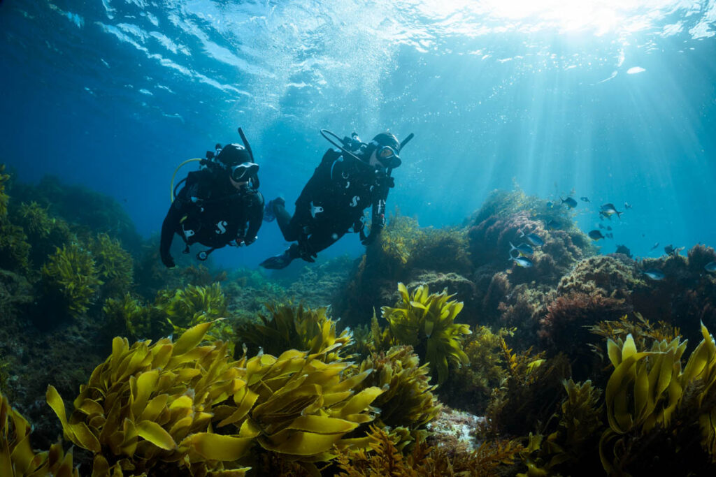 PADI Dive Together