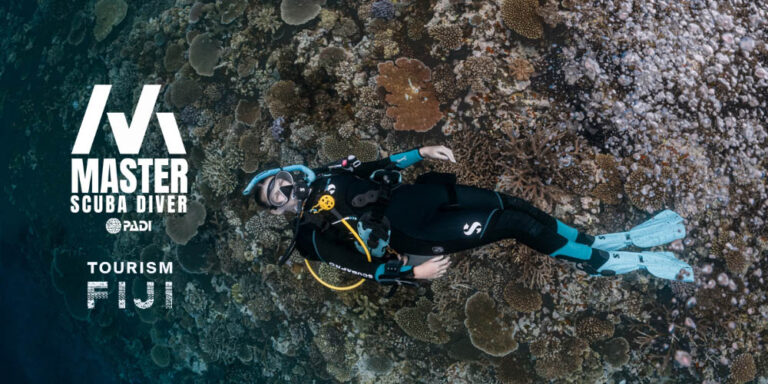 PADI Stimulus