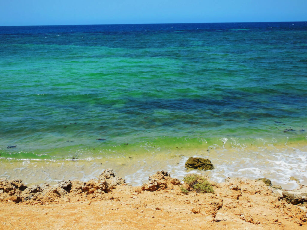 Djibouti