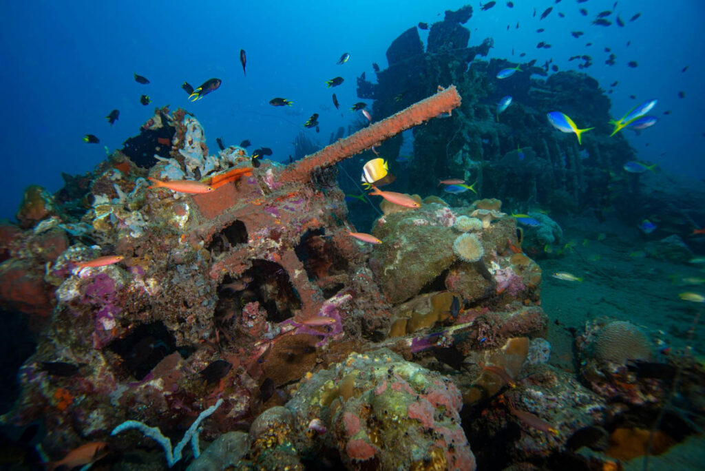 Emperor Divers Solomon Islands