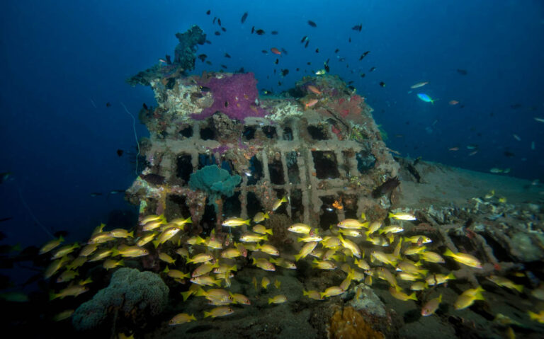 Emperor Divers Solomon Islands