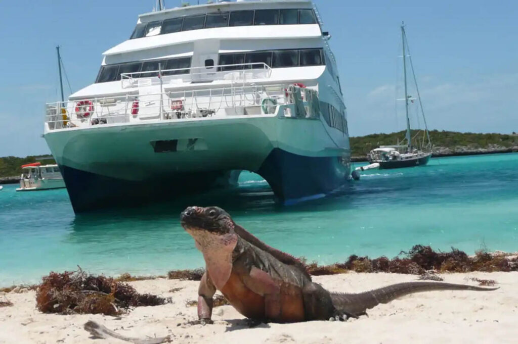 Aqua Cat Liveaboard, Bahamas