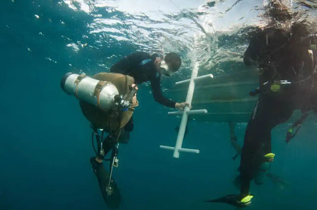 Atlantis Adventurer Liveaboard, Philippines