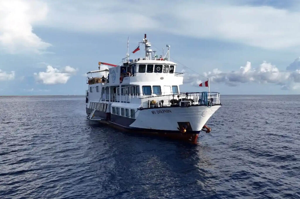 Dolphin Philippines Liveaboard, Philippines