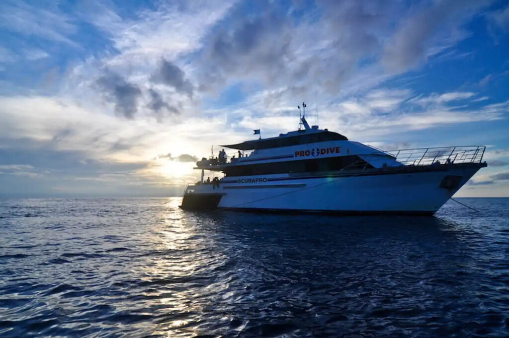 ProDive Cairns Liveaboard, Australia
