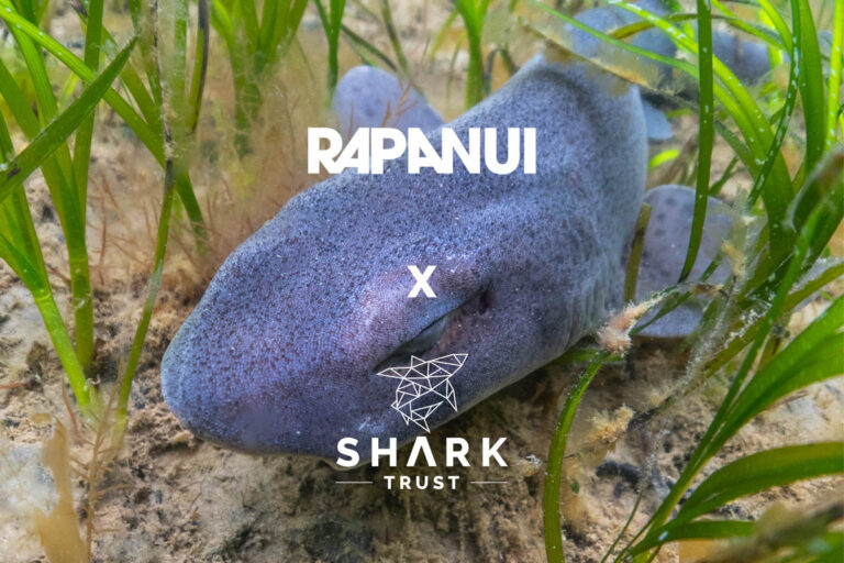 Shark Trust Rapanui