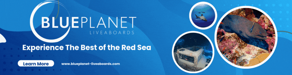 Blue Planet Liveaboards