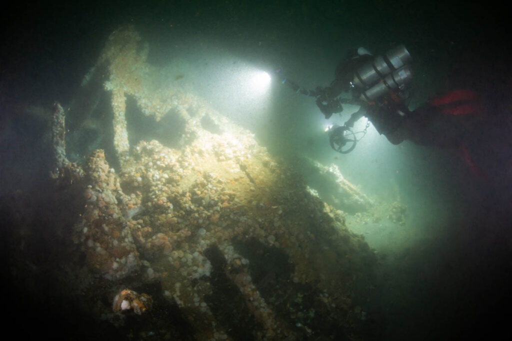 DV Tenacious ST Seiner Discovery