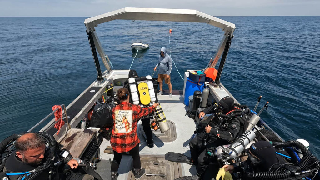 DV Tenacious ST Seiner Discovery