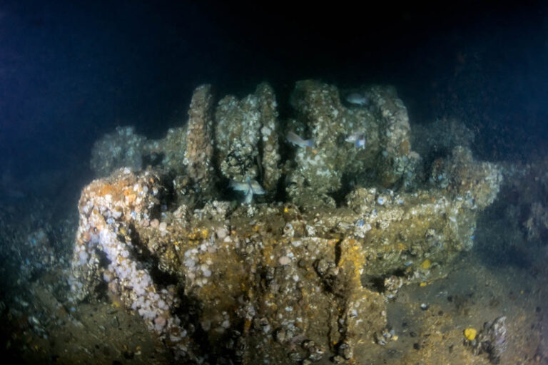 DV Tenacious ST Seiner Discovery