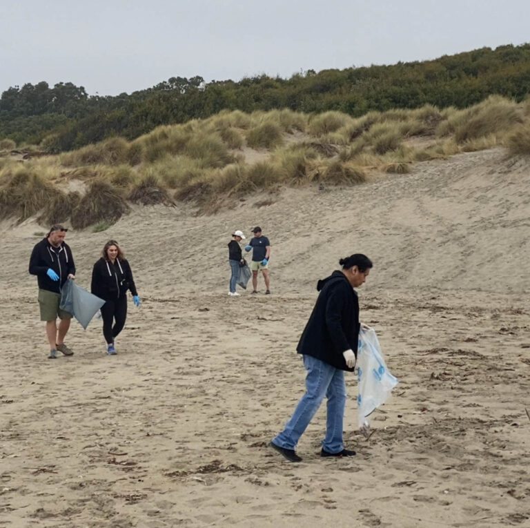 Nordic Naturals Beach Clean