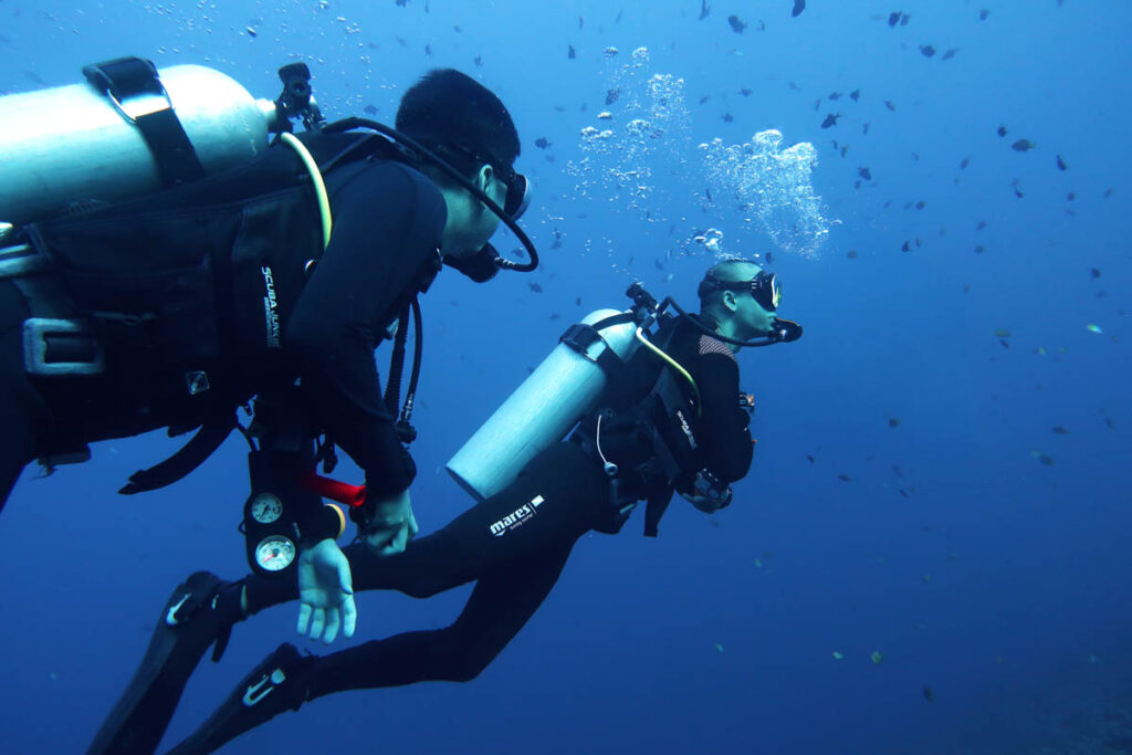 Reef-World Partnership