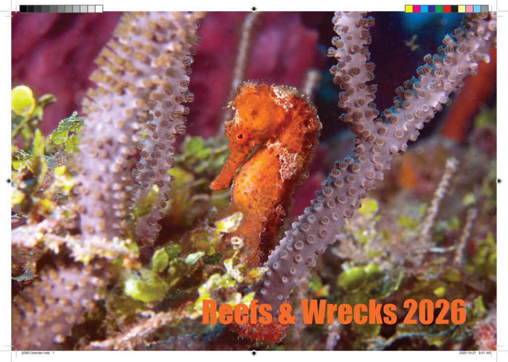 2026 Reef and Wreck Calendar