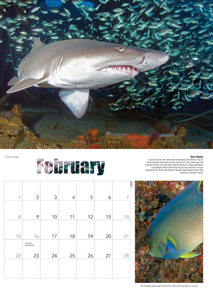 2026 Reef and Wreck Calendar