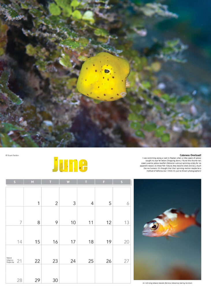2026 Reef and Wreck Calendar
