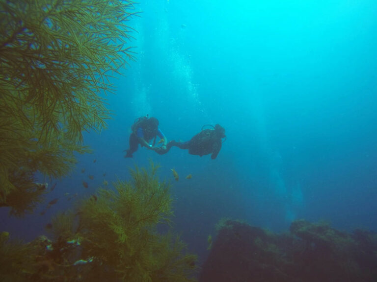 Andaman