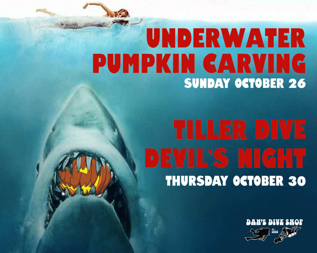 Dans Dive Shop Pumpkin Carving