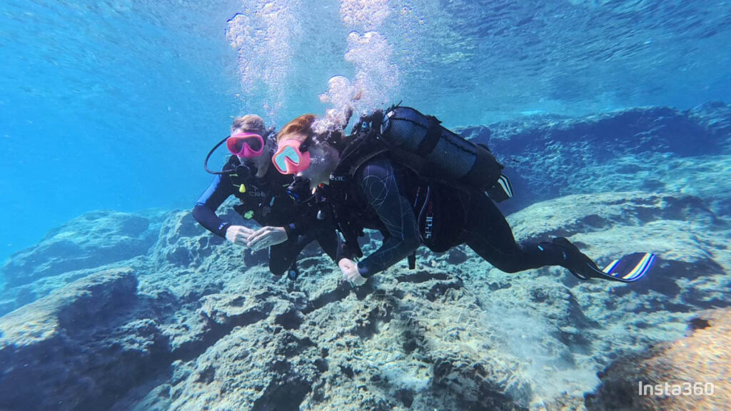 Dive Cypria
