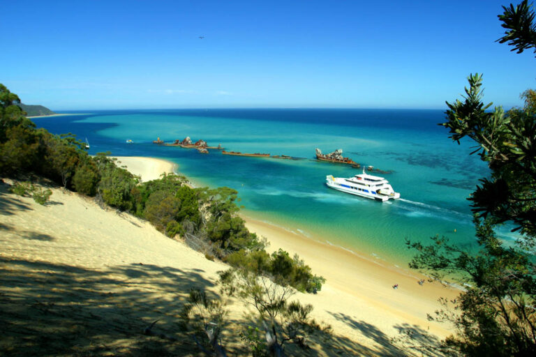Dive into Wonder: 5 Reasons to Explore Moreton Bay Underwater Moreton Island