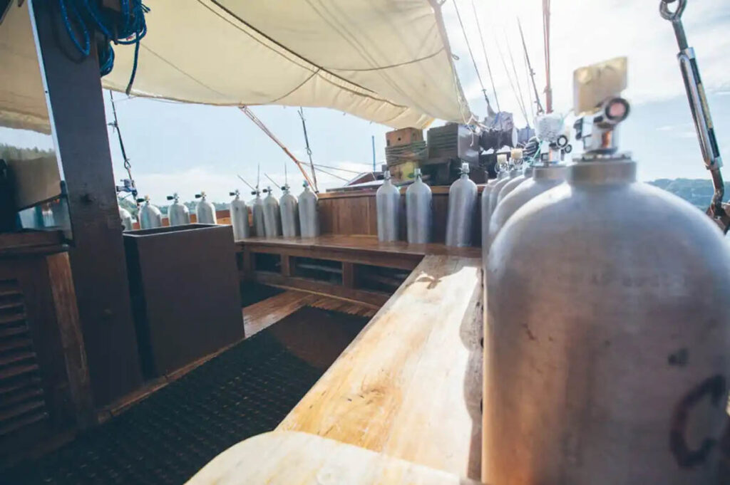 Cajoma IV Liveaboard, Indonesia