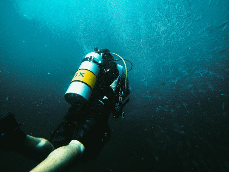 Diver Underwater