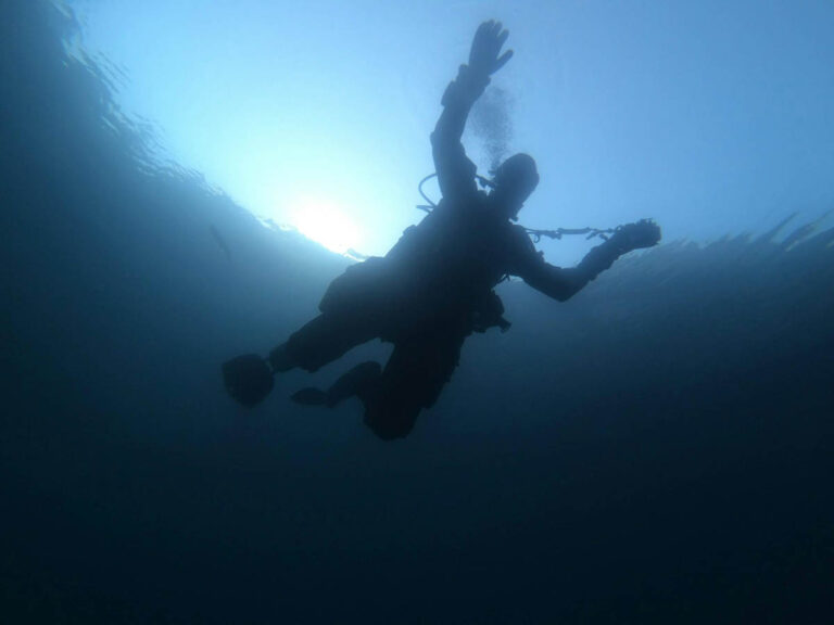 Diver Underwater