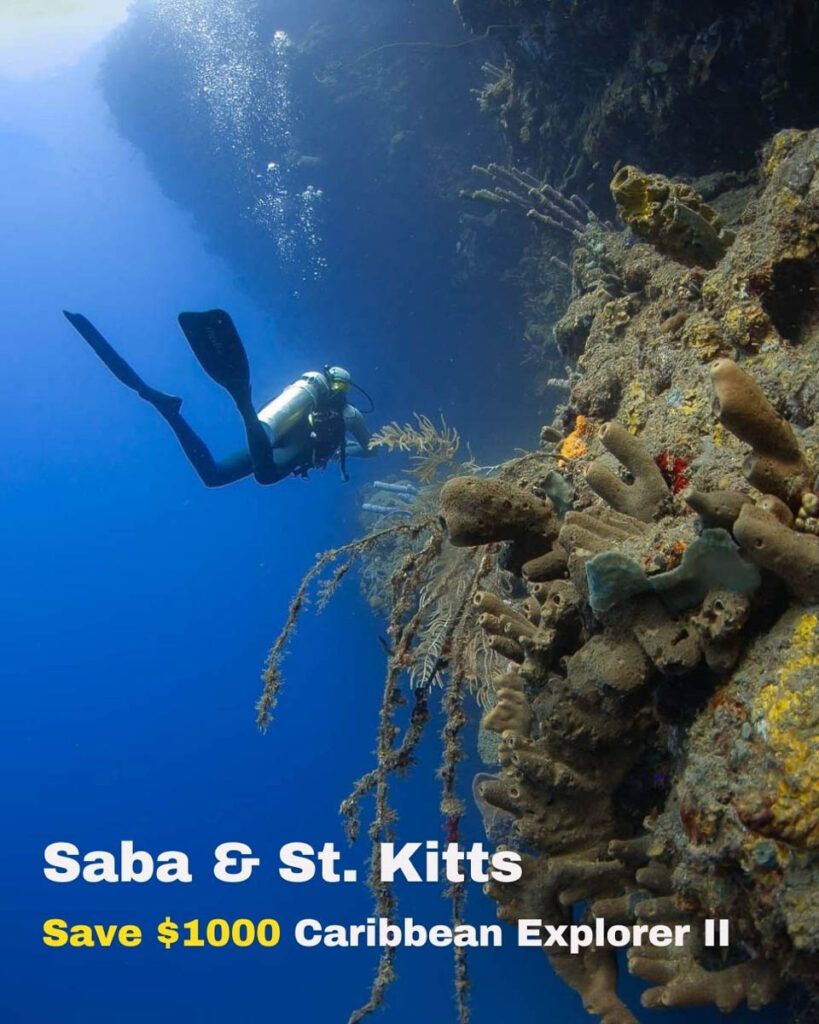 Explorer Ventures - Cyber Monday Sale 2025