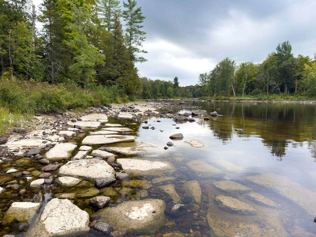 Jill Heinerth Mussel Memory