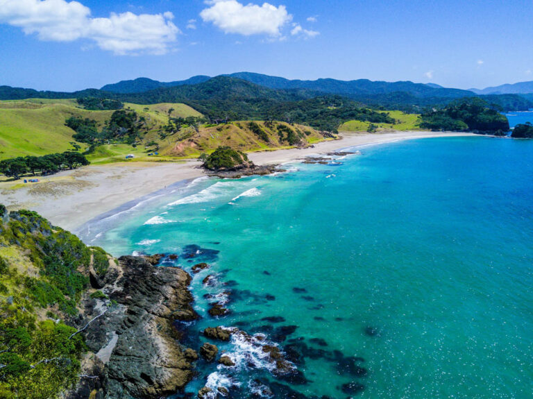 Coroner Warns Older Divers After New Zealand Freediver’s Death Linked to Undiagnosed Heart Disease New Zealand