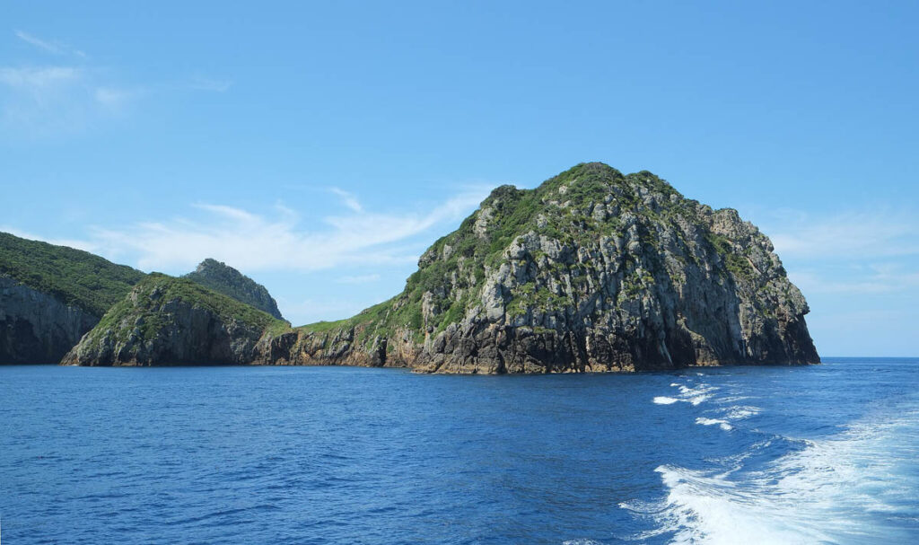 Poor Knights Marine Reserve