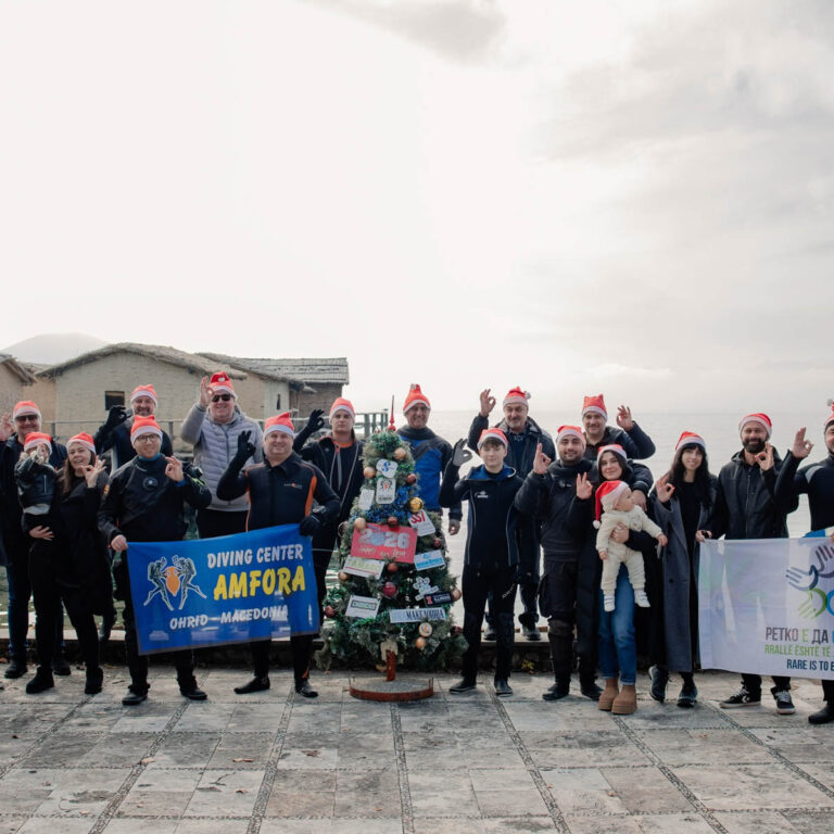 Amfora Christmas Tree