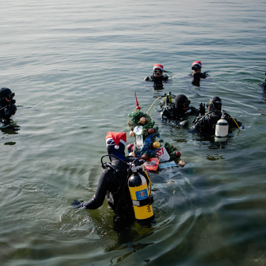 Amfora Christmas Tree