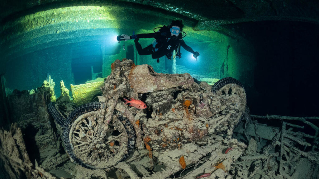 Dune Silky Liveaboard