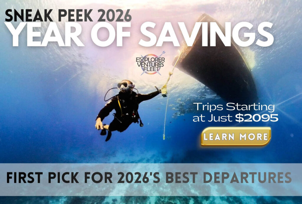 Explorer Ventures Sneak Peak