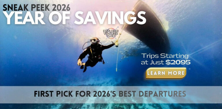 Explorer Ventures Sneak Peak