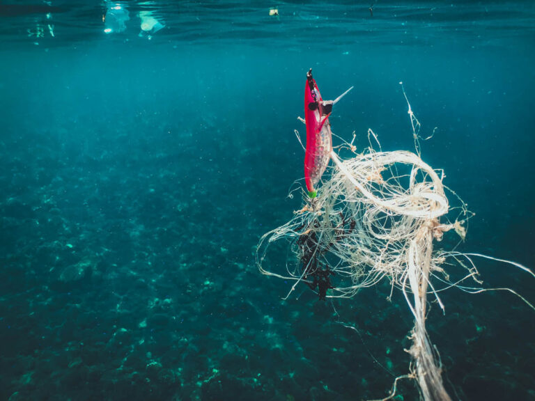 Veteran Divers Remove More Than 1,000 Pounds of Debris From Florida Reefs Underwater Pollution