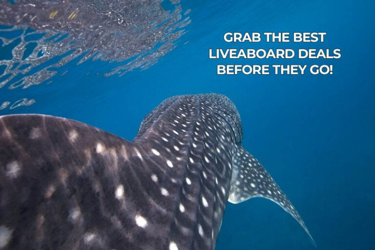 Explorer Ventures Sale