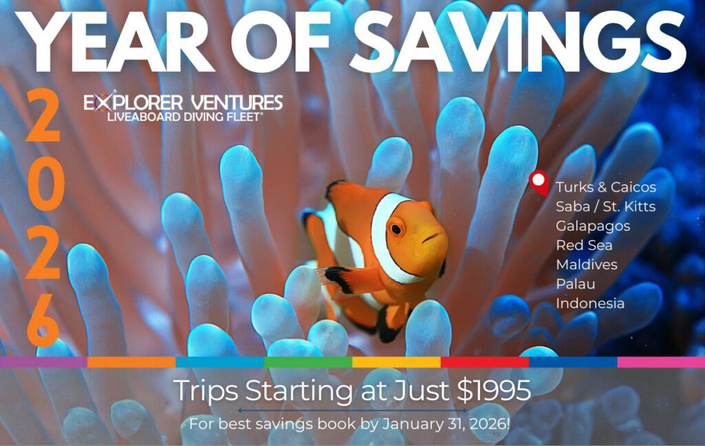Explorer Ventures Year of Savings